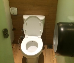 “Must check before you trip!” The case of the toilet in Bali island