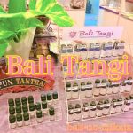 知る人ぞ知るバリ島穴場スパ！「Bali Tangiバリタンギ」の店内レポート