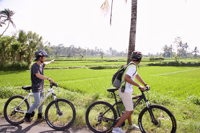 バリ島パドマリゾートウブドのサイクリングアクティビティ